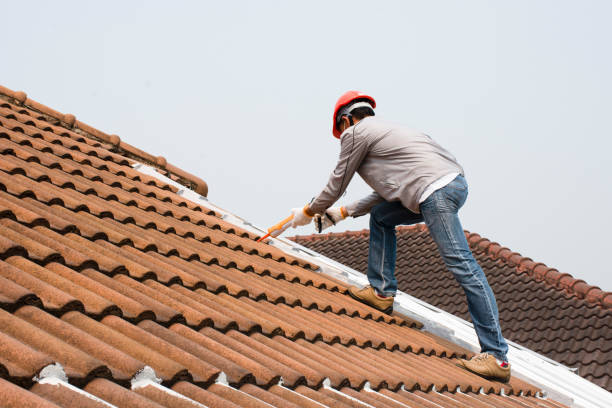 Best Skylight Installation and Repair  in Mount Hope, WV
