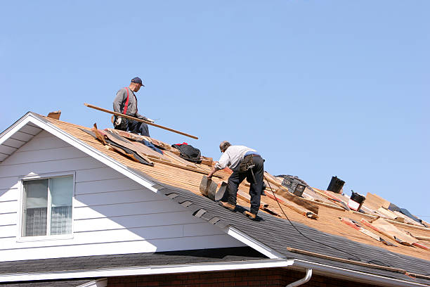 Best Gutter Installation and Repair  in Mount Hope, WV